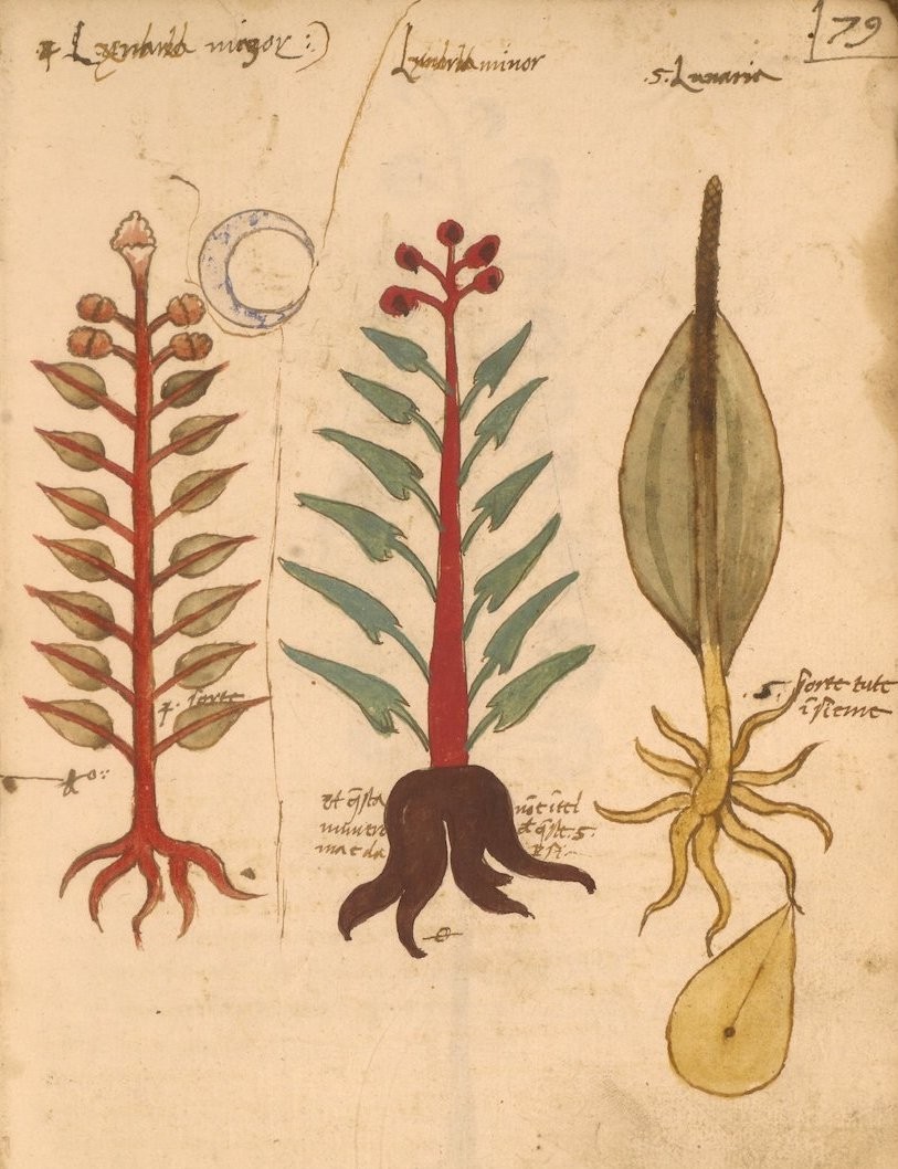 roots and spheres cycle