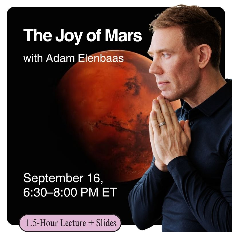 The Joy of Mars - Adam Elenbaas