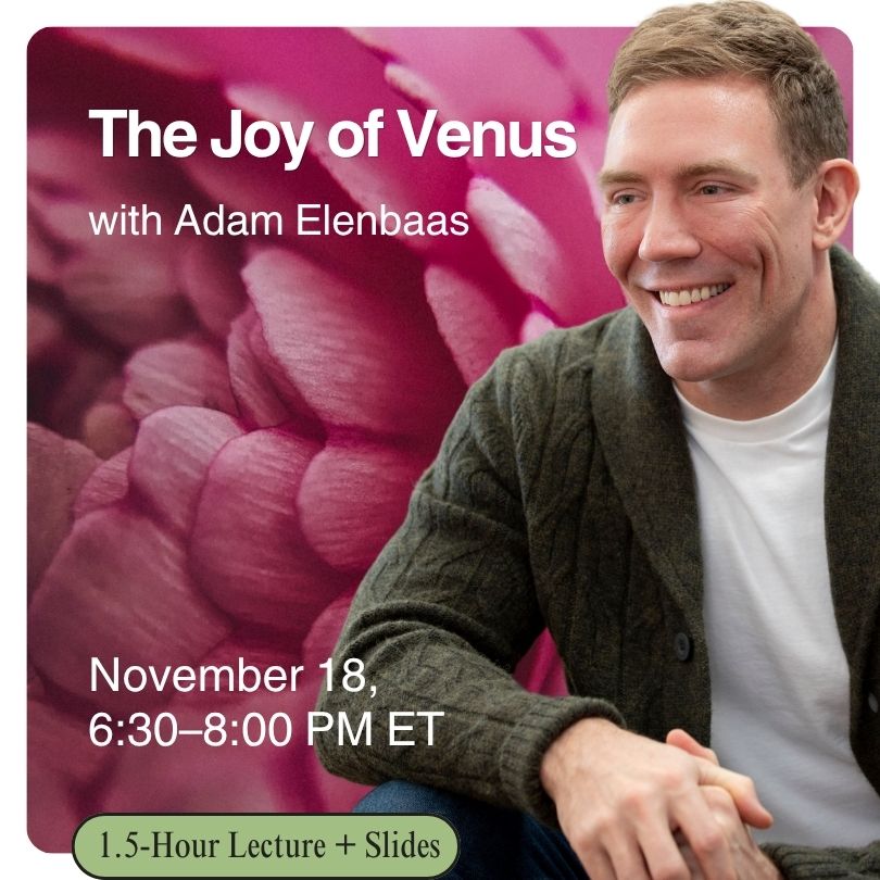 The Joy of Venus - Adam Elenbaas