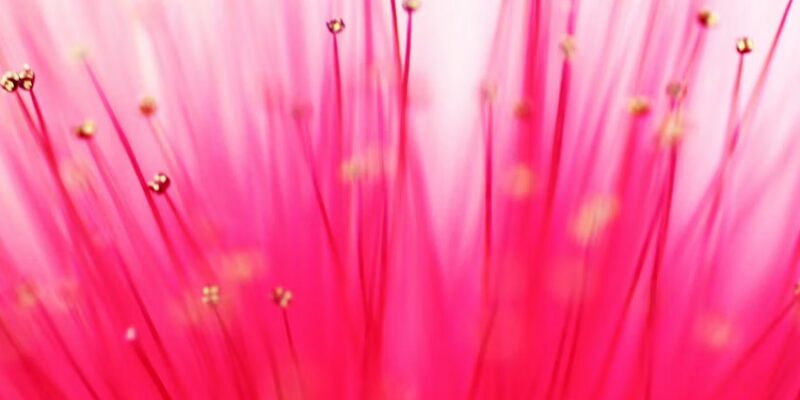 Venus in Libra horoscopes
